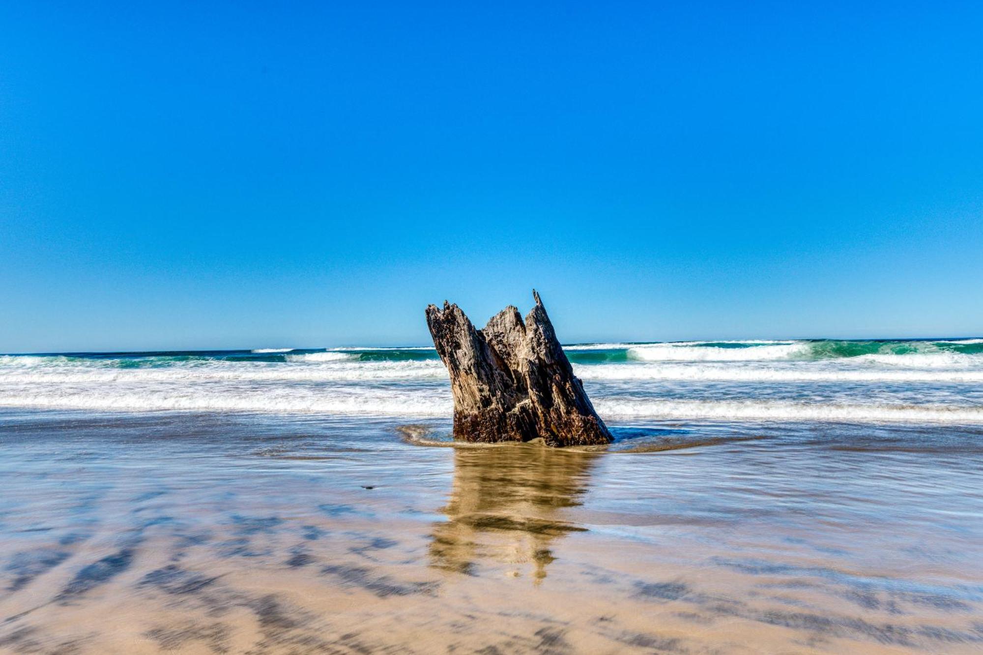 Cape Cod Cottages - #2 Waldport Εξωτερικό φωτογραφία